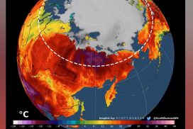 The Arctic is on fire and a record rise in temperatures has climate scientists worried